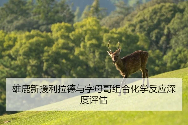 雄鹿新援利拉德与字母哥组合化学反应深度评估